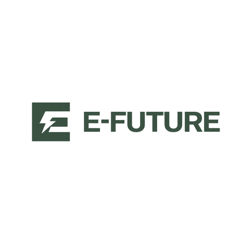 EFuture Diatta